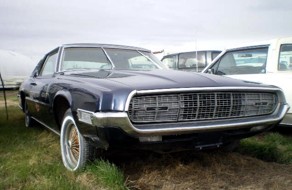 Storage Self Strathmore